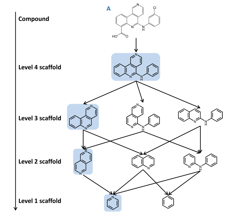 Scaffolds_1.png